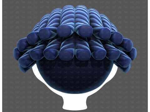 Base Hair for Boy V69 3D Model