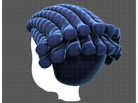 Base Hair for Boy V69 3D Model