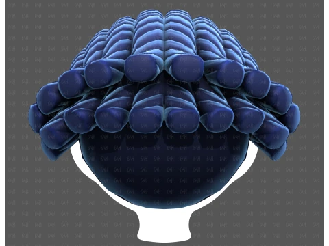 Base Hair for Boy V69 3D Model