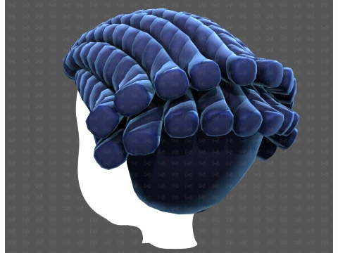 Base Hair for Boy V69 3D Model