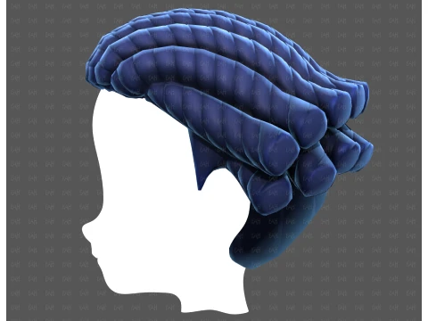 Base Hair for Boy V69 3D Model