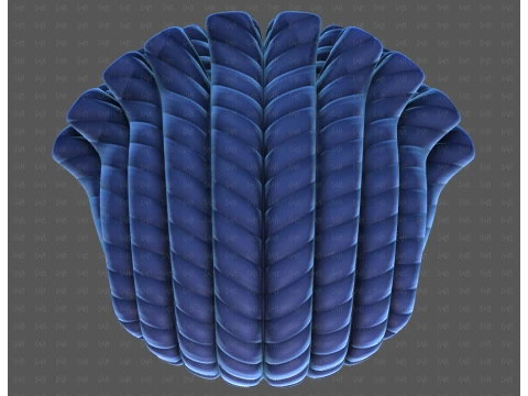 Base Hair for Boy V69 3D Model