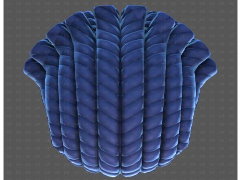 Base Hair for Boy V69 3D Model