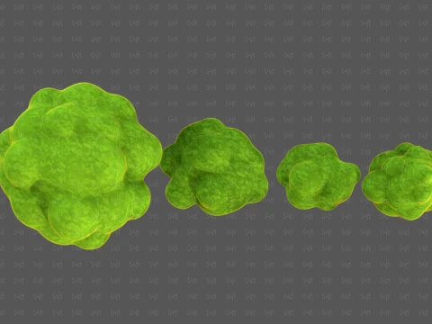 Trees Cartoon V66 3D Model
