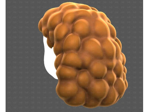 Base de cabelo para menina V70 Modelo 3D