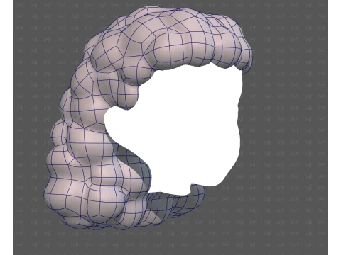 Base de cabelo para menina V70 Modelo 3D