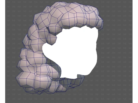 Base de cabelo para menina V70 Modelo 3D