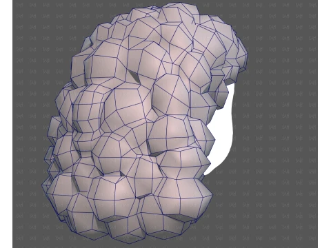 Base de cabelo para menina V70 Modelo 3D