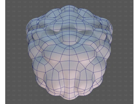Base de cabelo para menina V70 Modelo 3D