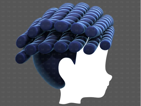 Base Hair for Boy V70 3D Model