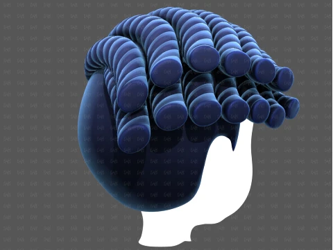 Base Hair for Boy V70 3D Model