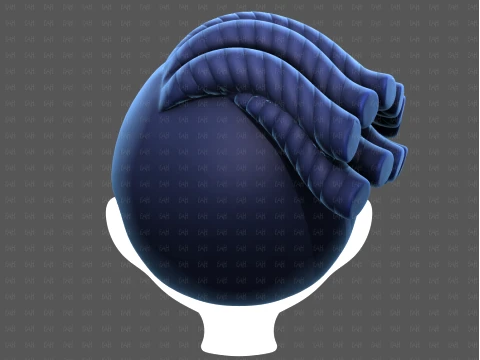 Base Hair for Boy V70 3D Model