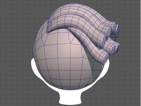 Base Hair for Boy V70 3D Model