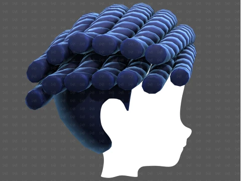 Base Hair for Boy V70 3D Model
