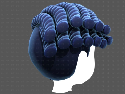 Base Hair for Boy V70 3D Model