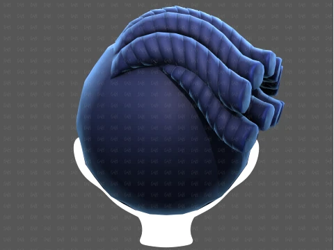 Base Hair for Boy V70 3D Model