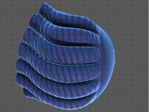 Base Hair for Boy V70 3D Model