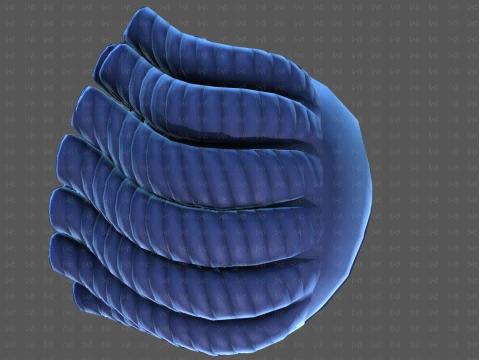 Base Hair for Boy V70 3D Model