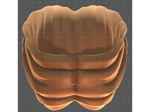 Base Hair for girl V72 3D Model