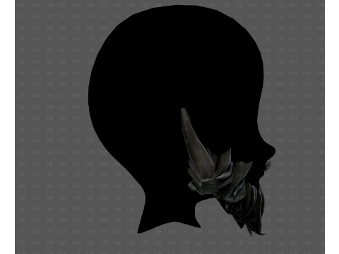 Beard V72 3D Model