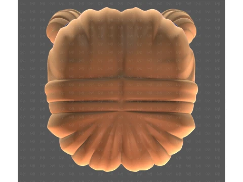 Base Hair for girl V73 3D Model