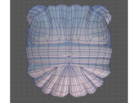 Base Hair for girl V73 3D Model