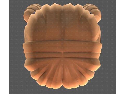 Base Hair for girl V73 3D Model