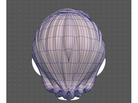 Base Hair for Boy V74 3D Model