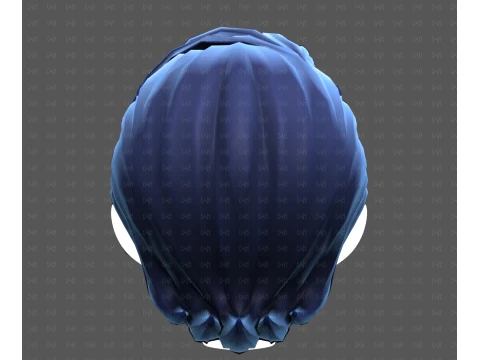 Base Hair for Boy V74 3D Model
