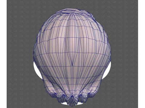 Base Hair for Boy V74 3D Model