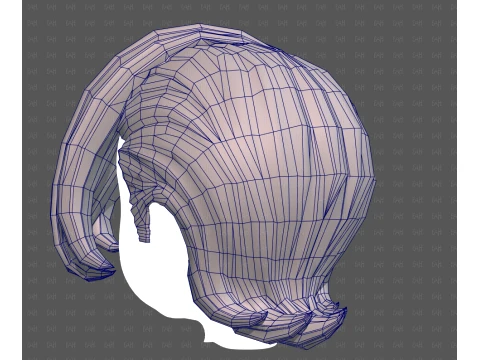 Base Hair for Boy V74 3D Model