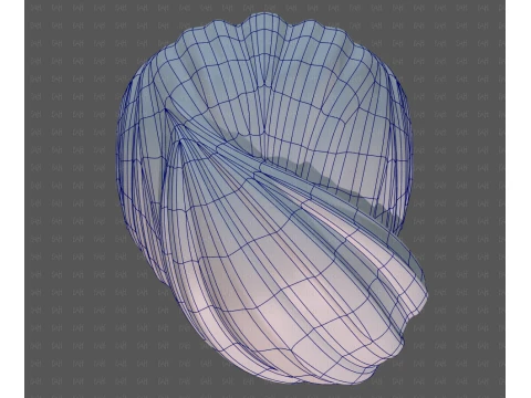 Base Hair for Boy V74 3D Model