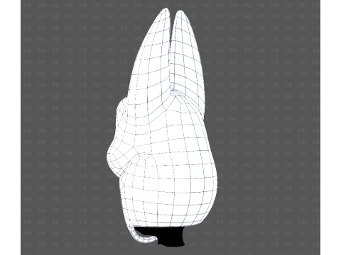 Cap V99 3D Model