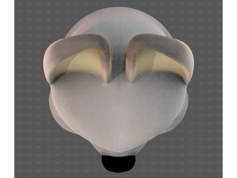 Cap V99 3D Model