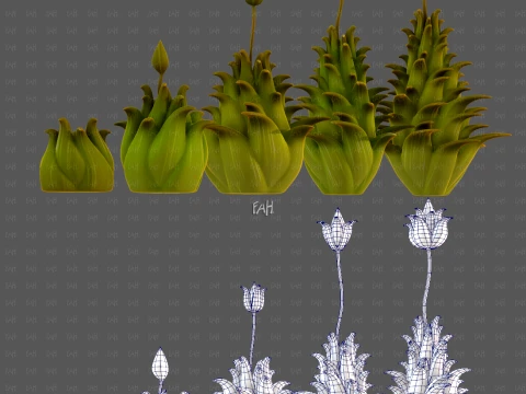 Trees Cartoon V71 3D Model