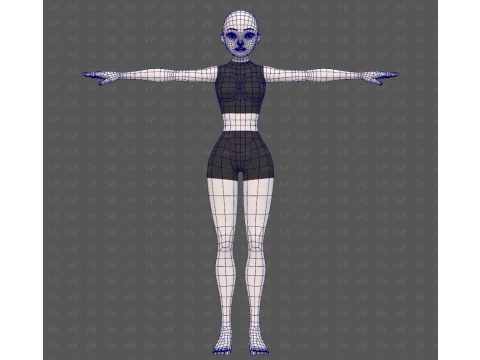 Base mesh woman 27 3D Model