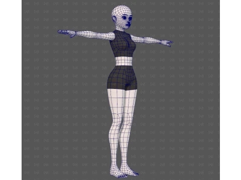 Base mesh woman 27 3D Model