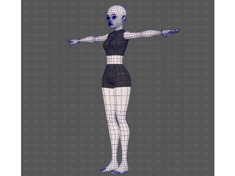 Base mesh woman 27 3D Model