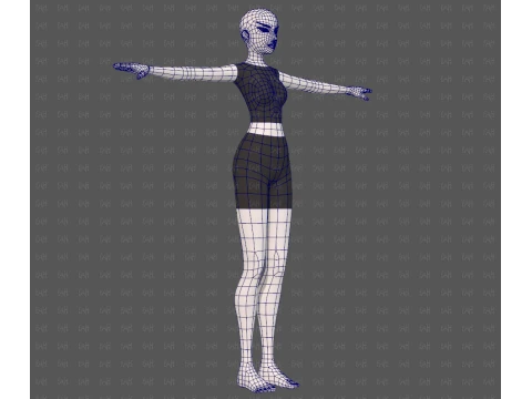 Base mesh woman 28 3D Model