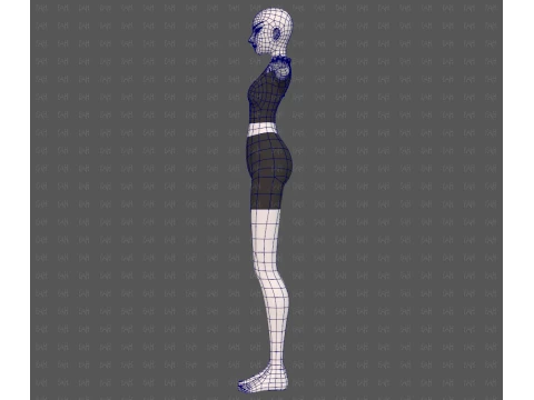 Base mesh woman 28 3D Model