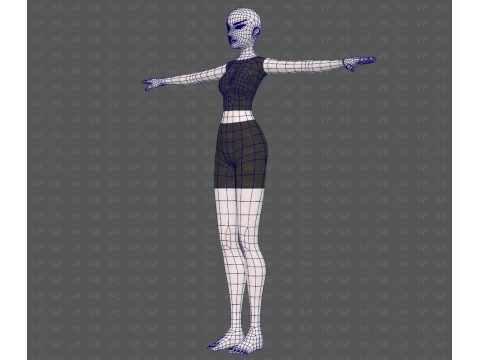 Base mesh woman 28 3D Model