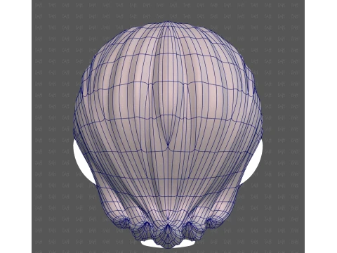 Base Hair for Boy V76 3D Model