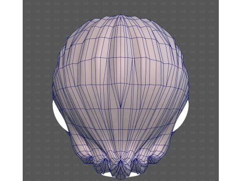 Base Hair for Boy V76 3D Model