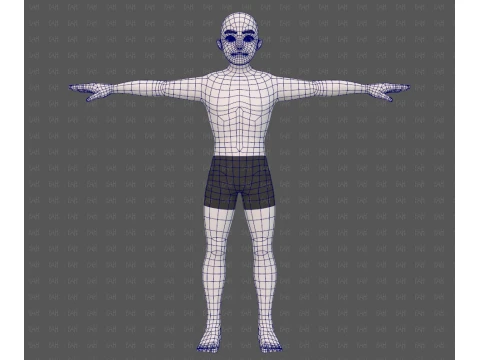 Base mesh man character V25 3D Model