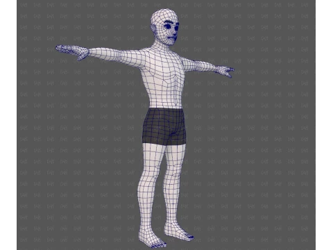 Base mesh man character V25 3D Model