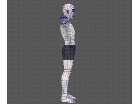 Base mesh man character V25 3D Model