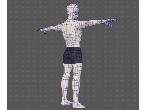 Base mesh man character V25 3D Model