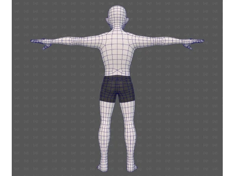 Base mesh man character V25 3D Model