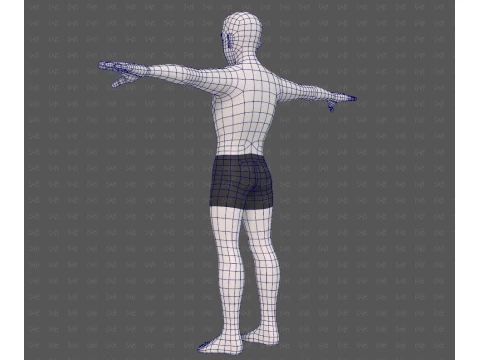 Base mesh man character V25 3D Model