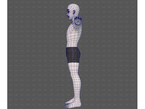 Base mesh man character V25 3D Model